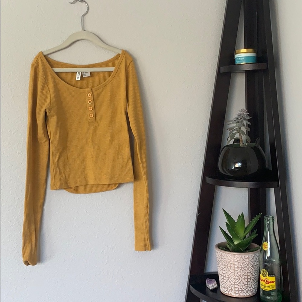 Long-Sleeve H&M Crop Top